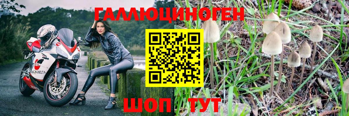 Киреевск  Псилоцибиновые грибы Cubensis  Вход с VPN 